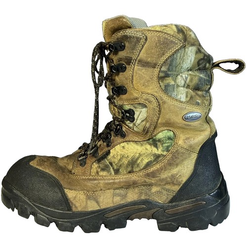 Irish setter big game - setter, tracker
