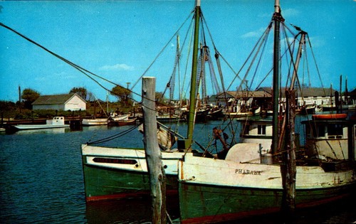 Postcard commercial fishing - postcard,