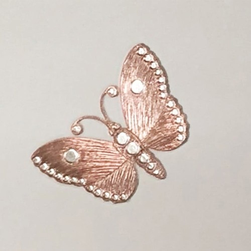 Muriva amelia butterfly - muriva,