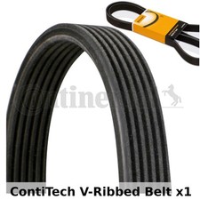 ContiTech V-Ribbed Belt - 6DPK1817 , 6 Ribs - Fan Belt Alternator, Drive Belt