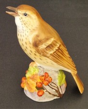 Royal Worcester Thrush Bone