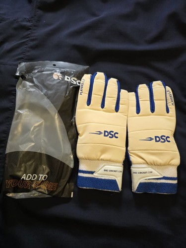 Dsc player wicket keeping - wicket,