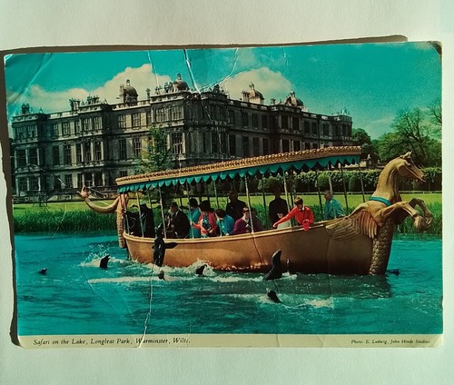 Vintage postcard safari - postcard,