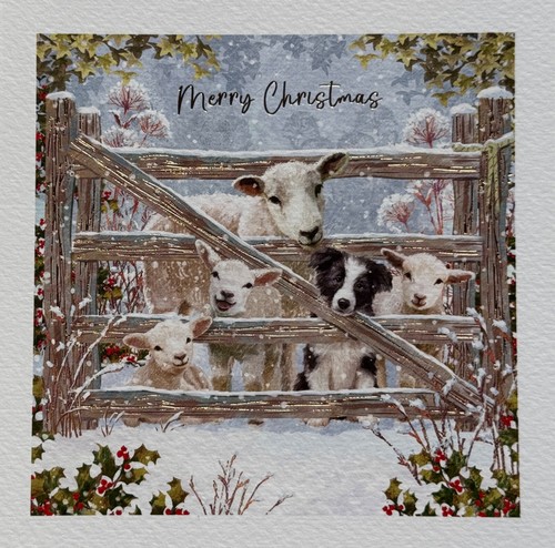 Charity christmas card farm - ~,