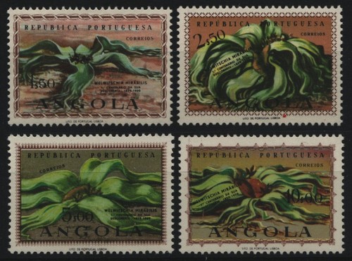 Angola 1959 419 422 - angola, no.