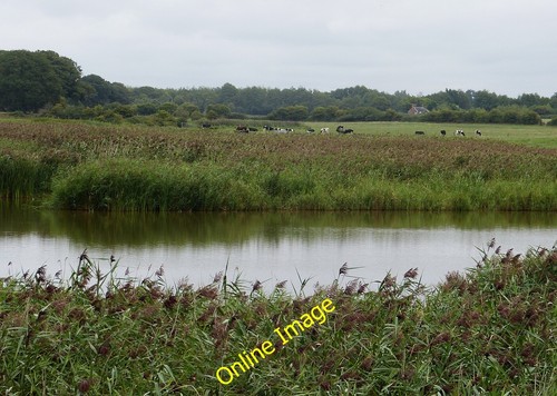 Photo 12x8 pools chichester - 12x8, by