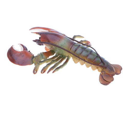 Inch cyan lobster - inch, model