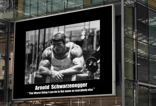Arnold schwarzenegger - arnold,