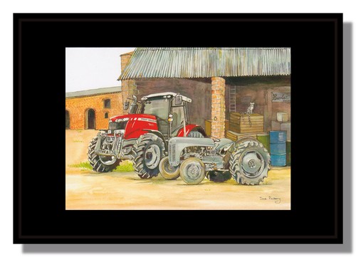 Two classic tractors fergie - two,
