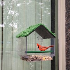Hanging Window Wild Bird Feeder Feeding Table Clear Perspex With Suction Cups