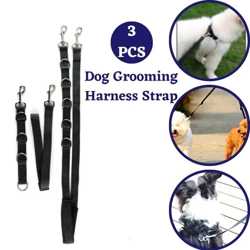 Collar bathing band grooming - bathing,