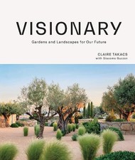 Visionary - 9781743797624