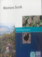 Montane scrub michael scott - scrub-michael,