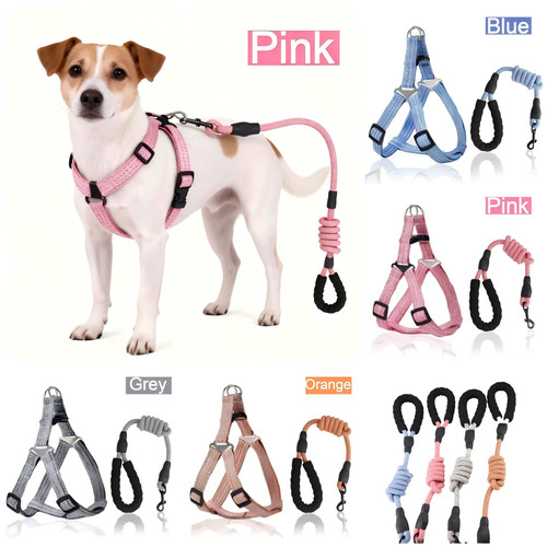 Adjustable dog harness - harness, in