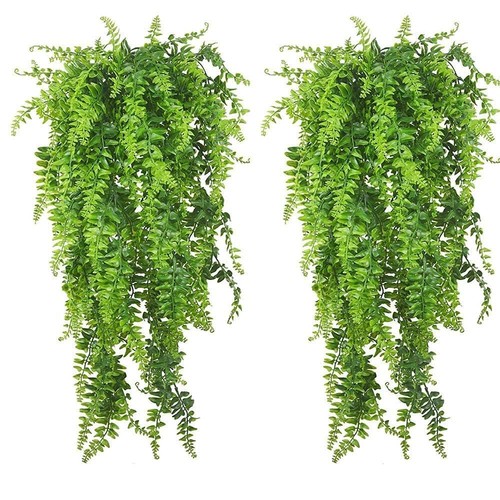 Pinvnby reptile plants hanging - pinvnby,