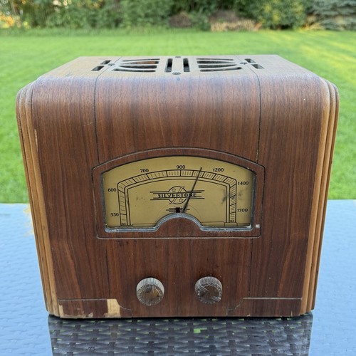 Vintage silvertone 100 179 - vintage,