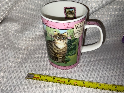 New dunoon gallery - dunoon, cats
