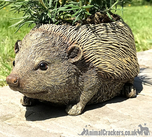 Hedgehog garden planter - hedgehog,