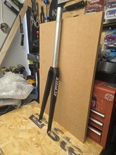 Alpine carbon blade 700c forks - carbon,