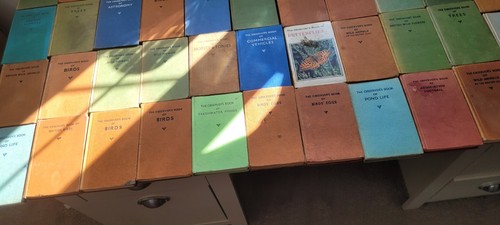 Vintage observer books - vintage,