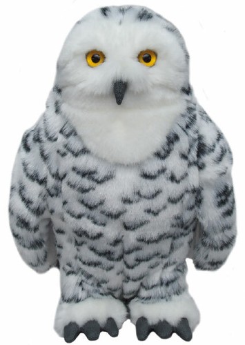 Snowy owl teddy - owl, owls