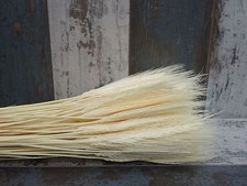 300 STEMS DRIED WHEAT BARLEY
