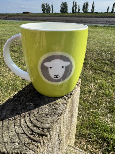 Herdy sheep green - herdy, mug