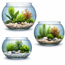 Alf Acrylic Bowl Aquarium 37L