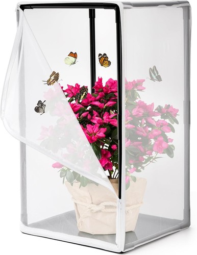 Kingrol outdoor insect - kingrol,