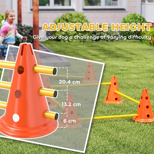 Pet agility training set - set, –
