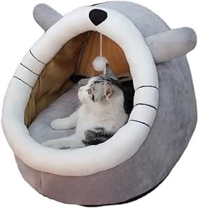Disdain cat beds for - disdain,