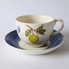 Wedgwood Sarah's Garden Citrus Aurantifolia Tea Cup and Saucer x 1