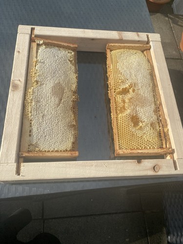 Honey bee winter feeding eke - bee,