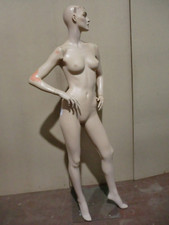Mannequin Display Dummy