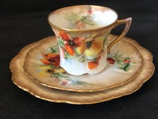 SUPERB ANTIQUE NAUTILUS POSSIL