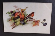 Early Bird Postcard Artist