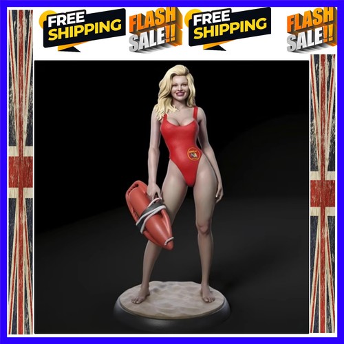 Scale diecast resin - 1/24,