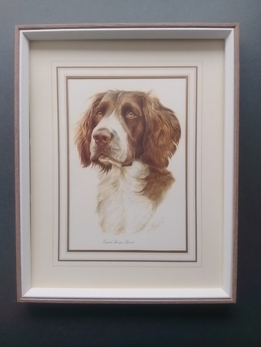 James rowley english springer - james, 'english