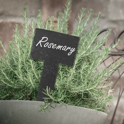 Engraved slate plant marker - slate,