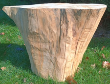 Coffee tree stump table log
