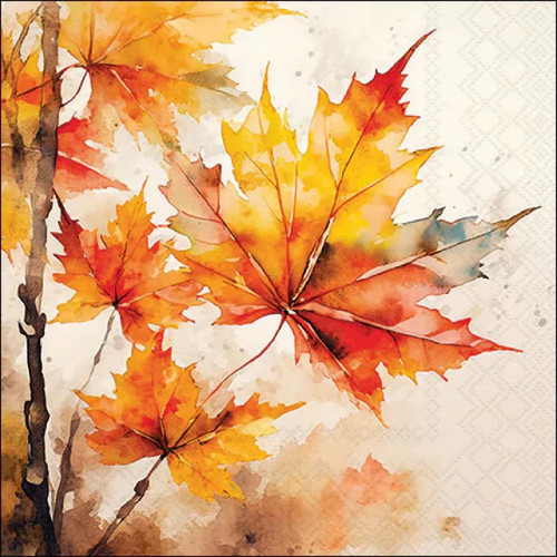 Vibrant maple leaves autumn - maple,