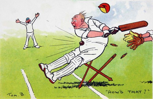 Set funny cricket prints - set,