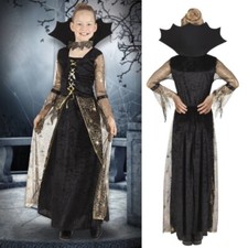 Halloween Wicked Witch Costume