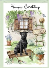 Patterdale Terrier Dog (4"x 6") Birthday Card with blank inside - by Starprint