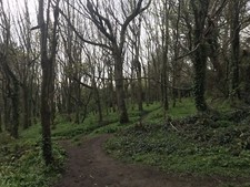 Apple G3 Wallstreet  Powerbook Working Condition  Laptop mac os 