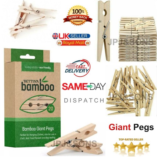 Wooden clothes pegs washing - wooden,