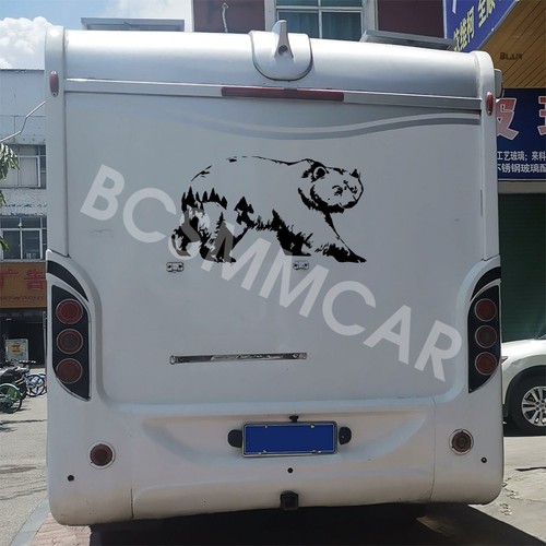 66x33cm car windows decorative - car,