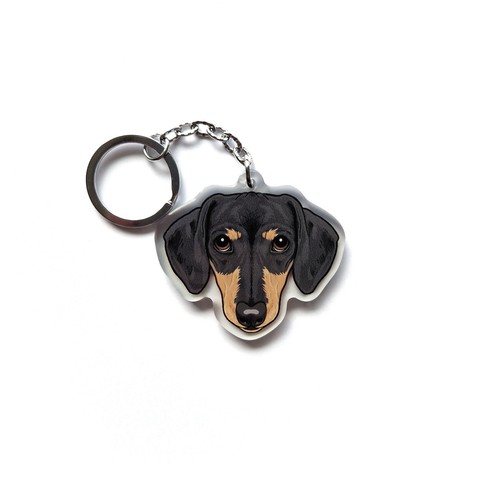 Short hair dachshund - short, acrylic