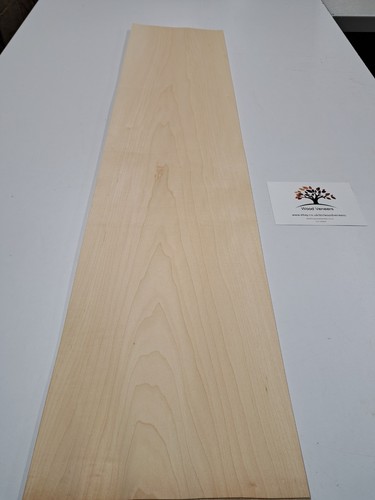 Maple veneer natural wood - -,