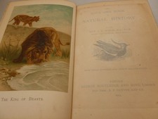 1904 - The Boy's Own Book of